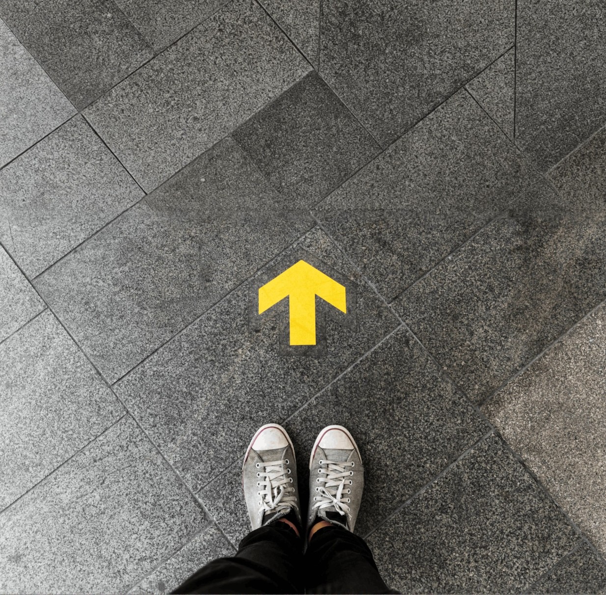Career Path