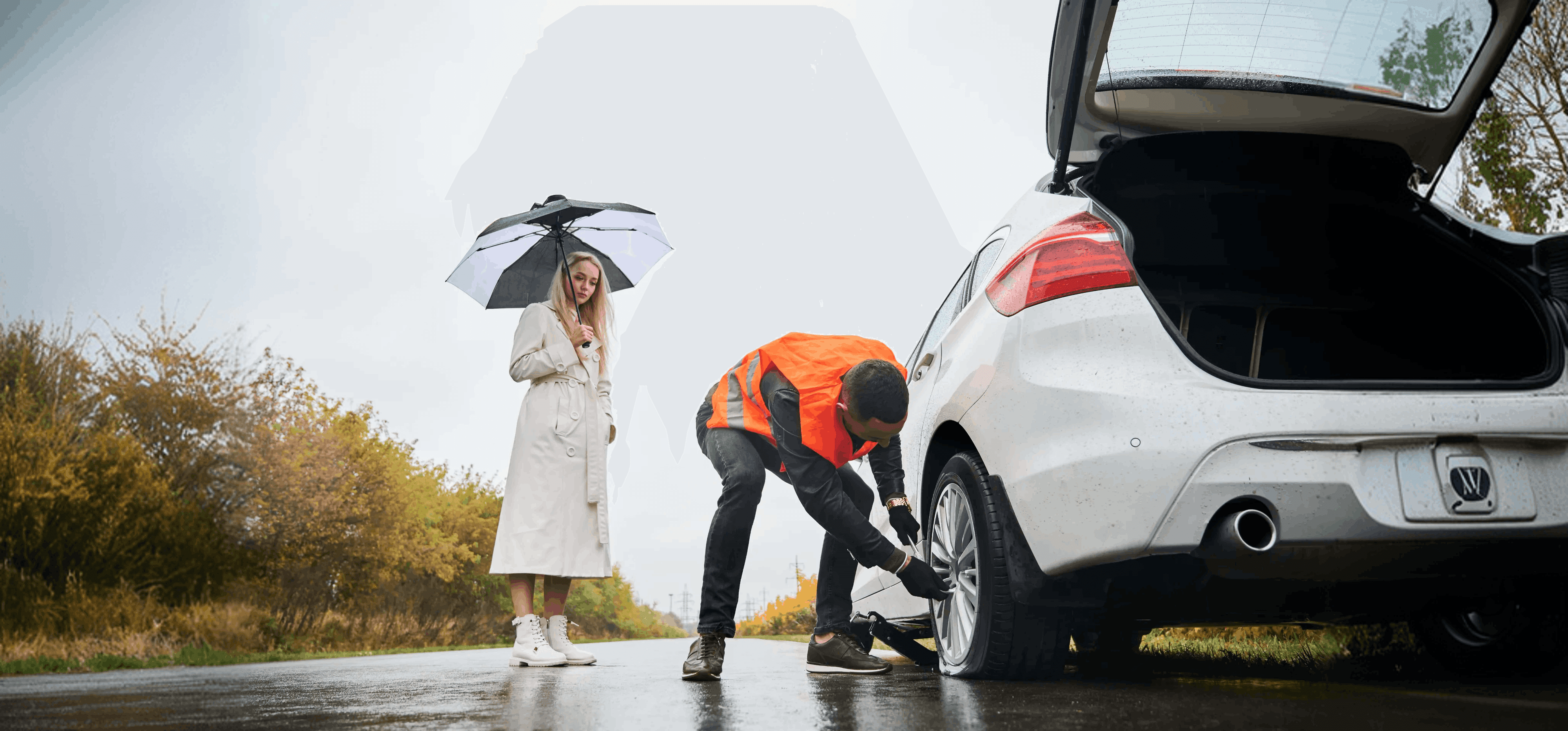 Vehicle Health & Diagnostics